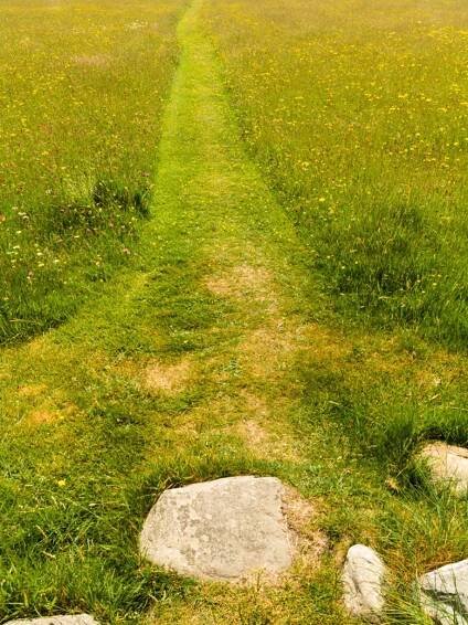 Grass Pathway Ideas: Creating Grass Garden Paths