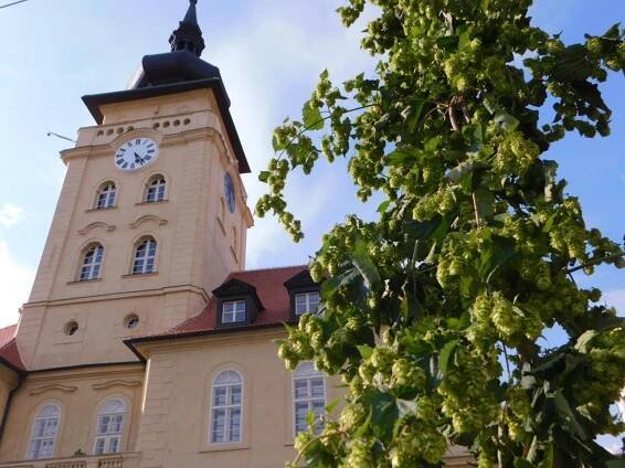 Gymnázium Žatec pomohlo s překladem informací na turistické mapě