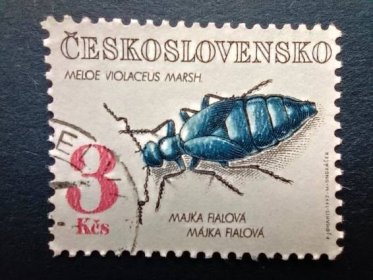 známky hmyz - brouci - Československo 1992 - Tematické známky