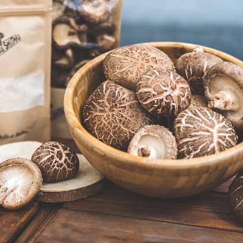 True shiitake: divoké houby s plnou chutí umami, které posilují imunitu