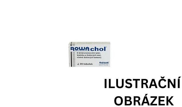 ROWACHOL enterosolventní měkké tobolky 20 - Biotika.net