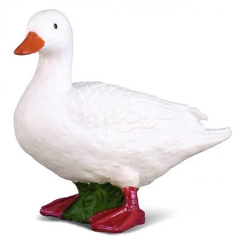 COLLECTA...