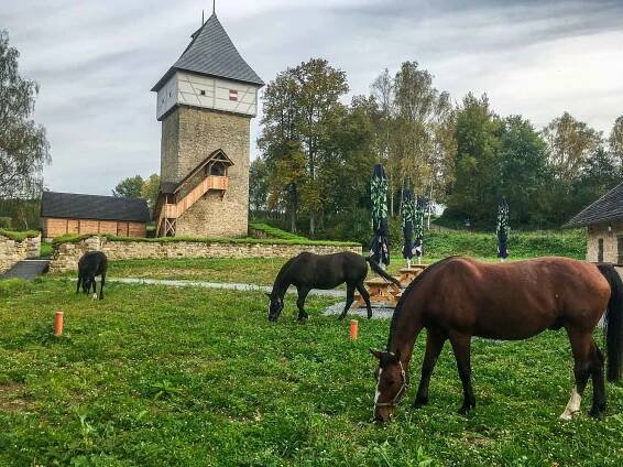 Tvrz Tichá - Dolní Dvořiště, Jižní Čechy | Regiontourist.cz