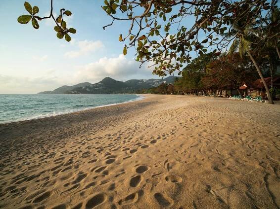 BEACHSIDE BUNGALOW – First Bungalow Beach Resort, Chaweng Beach, Koh Samui, Thailand