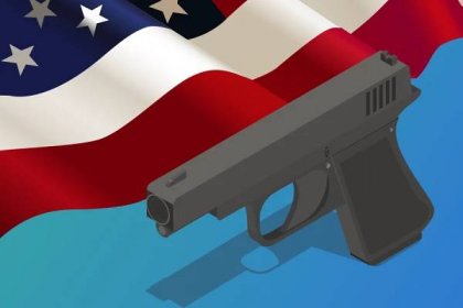 gun control essay sample