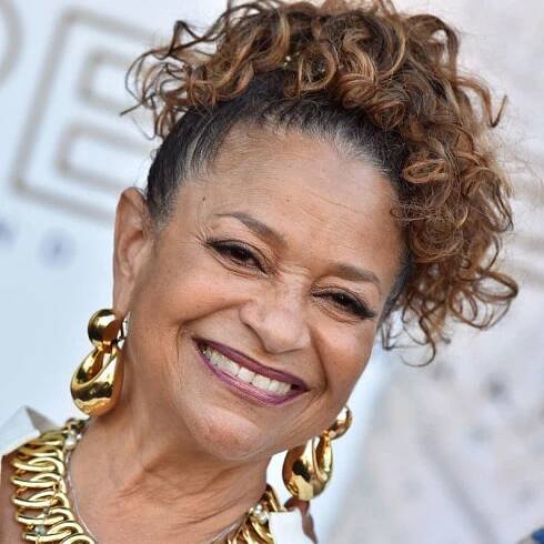 Debbie Allen pineapple ponytail