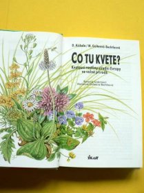 Co tu kvete? Kvetoucí rostliny střední Evropy ve volné přírodě (1996) | Aukro