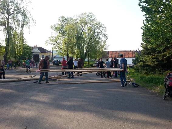 majka_2014_07.jpg