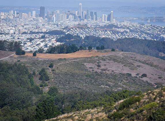 San Bruno Mountain