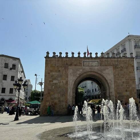 Tunis: Medina, Kartágo, Sidi Bousaid Soukromý výlet s obědem | GetYourGuide