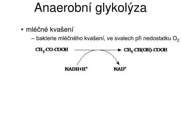 PPT - Metabolismus sacharidů PowerPoint Presentation, free download - ID:5789890
