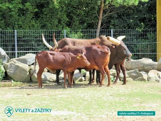 Zoopark Vyškov - Jihomoravský kraj (1MZ-030): Výlety a zážitky