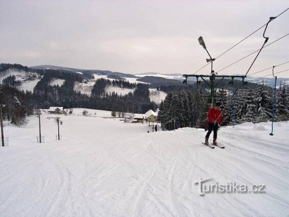 Vleky