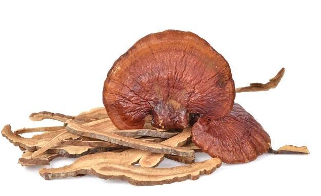 Jak připravit odvar z houby Reishi?