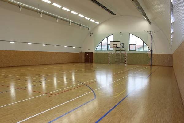 ČUS