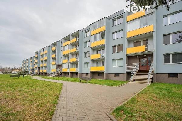 Pronájem Byt 2+1, Pionýrů, Mohelnice, okres Šumperk