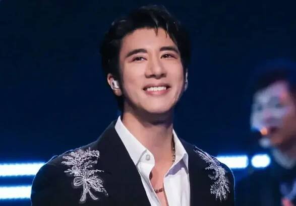 wang leehom timeless visual