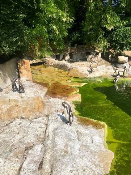 Hurá do ZOO! - MŠ Zubří