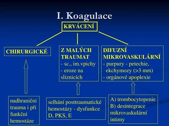 PPT - Selhání Koagulace PowerPoint Presentation, free download - ID:4234694