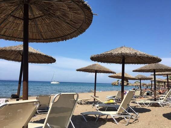 Porto Zorro Beach Hotel Beach: Pictures & Reviews - Tripadvisor