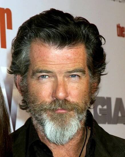 Pierce Brosnan