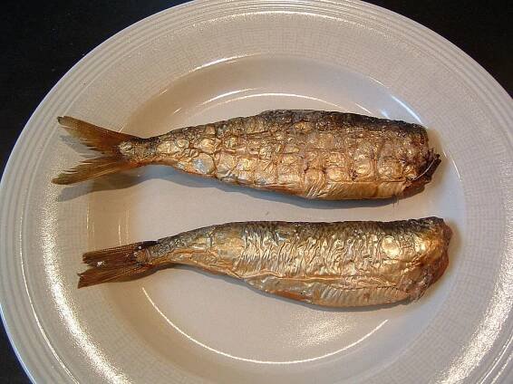 Buckling (fish) - Wikipedia