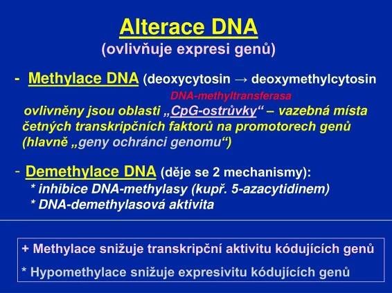 PPT - Proč stárneme ? PowerPoint Presentation, free download - ID:4653510
