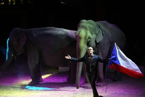 Ve Zlíně hostuje Cirkus Humberto, nabídne i artisty z osmi zemí. Podívejte se
