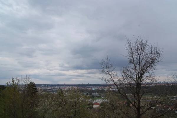Motyli 22. 4. 2012