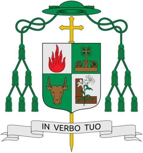 Roman Catholic Apostolic Vicariate of San Jose in Mindoro - Wikipedia