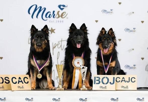 Trio CACIB Praha - Černá luna