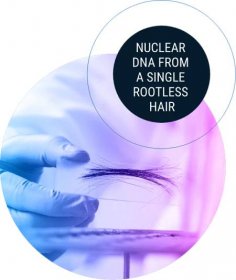 BODE-DNA-from-rootless-hairs