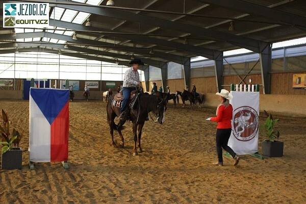 Reining ČJF vyhodnotil koně a šampiony roku 2016 | Jezdci.cz