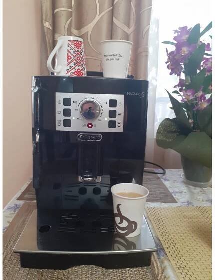 Manuál DeLonghi Magnifica S ECAM 22.110.B návod (25 stránek)