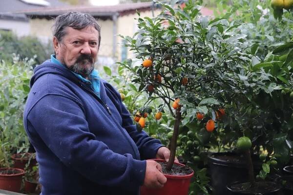 Pěstitelský úspěch penzisty z Brna: Na zahrádce mu vyrostla Budhova ruka