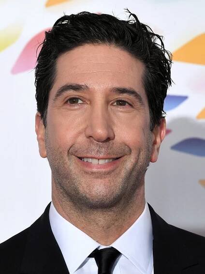 David Schwimmer - Actor