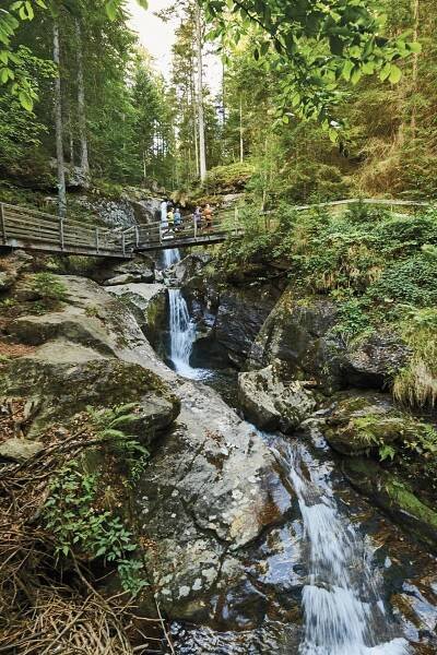 Wandern & Nordic-Walking im Hotel Mooshof