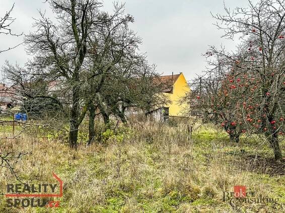 Prodej Pozemek, Kozlany, okres Vyškov