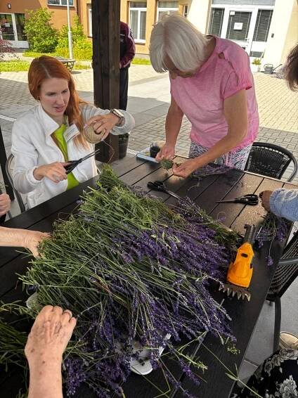 🌷Sklizeň levandule | Alzheimer Home