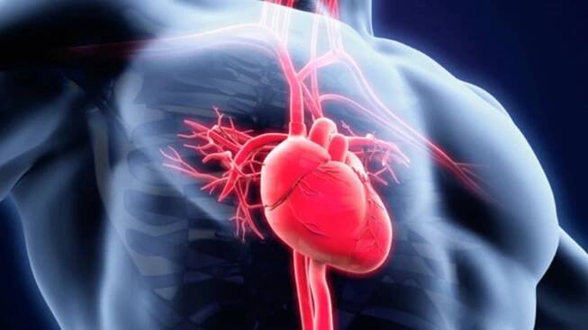 Přílišná mozková aktivita může způsobit infarkt. Pozor na stres, radí studie