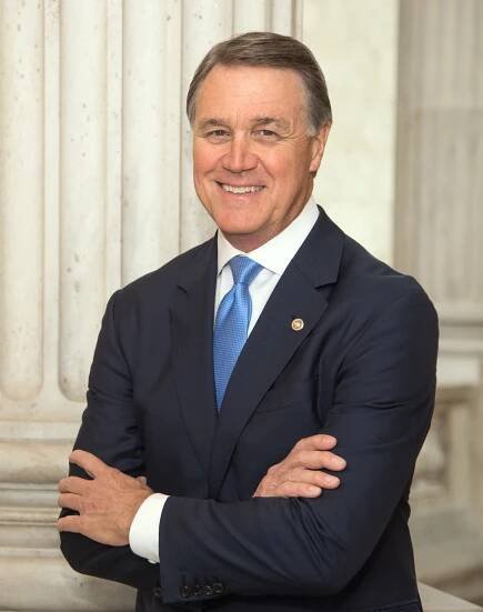 David Perdue - Wikipedia