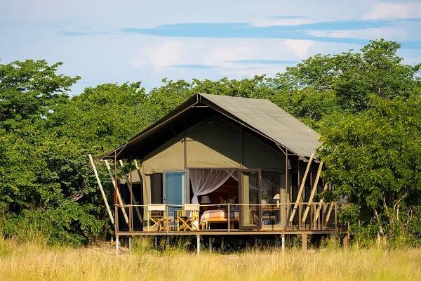 Wild Expeditions - Camp Hwange & Muddy Teak