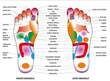 Reflexní terapie nohou i diganostika pro Vaše celkové zdraví. Dopřejte si relaxaci a přínos pro zdraví. | Slevíci.cz