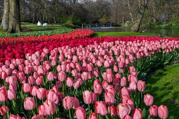 reisleider, auteur op Incentive en Groepsreizen Europa - Holland