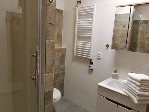 a bathroom with a shower and a toilet and a sink at Apartmány Nová duha Vavřinec in Vavřinec