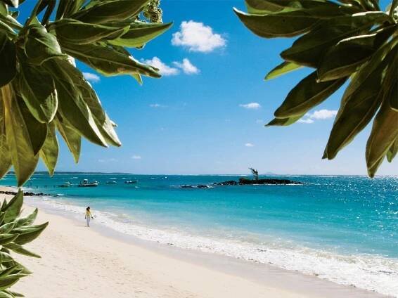 Vila Sea-lily Beach
