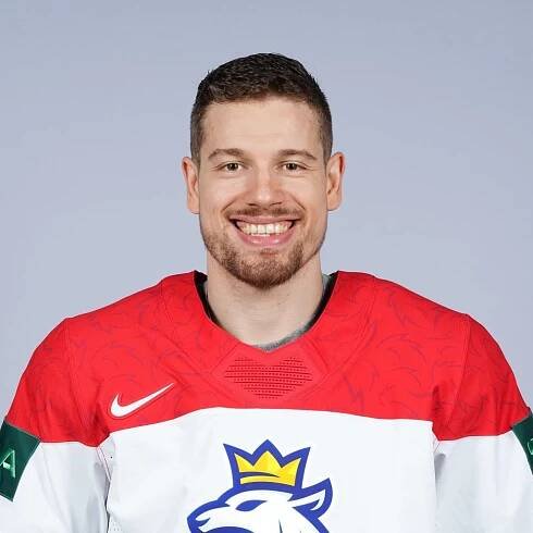 David Němeček - Hokej - iDNES.cz