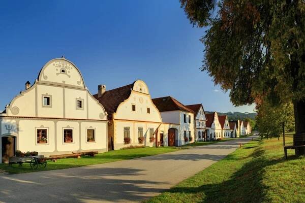Třeboňská a Budějovická pánev