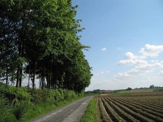 File:Ingooigem Countryside.jpg
