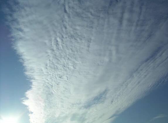 Radiatus